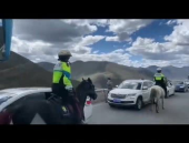 交警小姐姐骑马图片,展现新时代警花风采